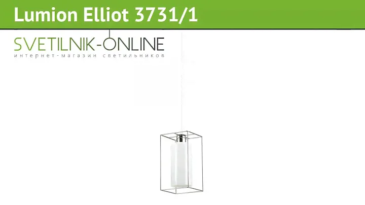 Люстра Lumion Elliot 3731/1 обзор: светильник Lumion Elliot 3731/1 60 Вт, где купить, характеристики