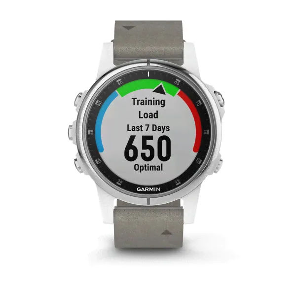 Garmin Fenix 5s Plus Sapphire, белый с серым ремешком-2
