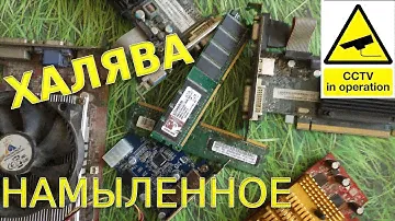 НАМЫЛЕННОЕ 8 // Видеокарты HD 4670 + HD 5450 +FX 5200 + USB 3 0 Контроллер + Мозги DDR 1 2 на ХАЛЯВУ