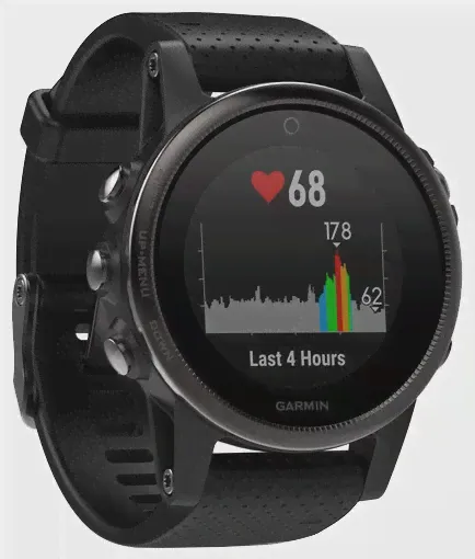 Умные часы Garmin Fenix 5S Sapphire