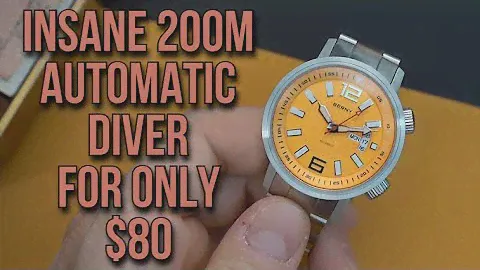 BERNY Dive Watch Japanese Automatic 200m Dual Crown Dive watch with Sapphire Crystal for $80