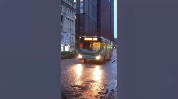 Manchester Sapphire 263