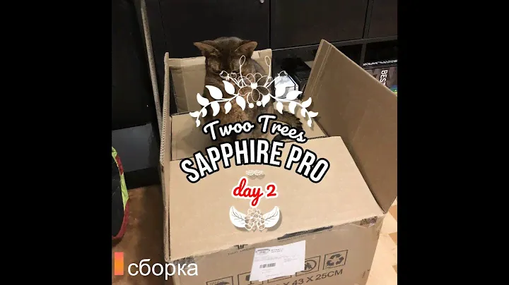 Самая долгая сборка (assembly)Two Trees Sapphire PRO Часть 1