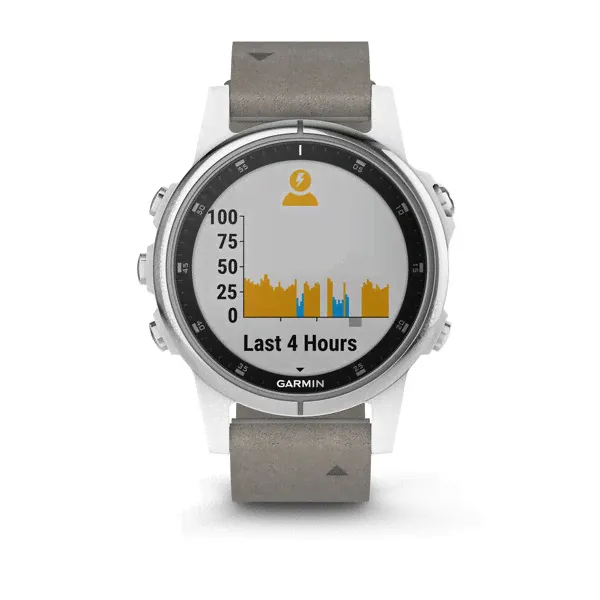Garmin Fenix 5s Plus Sapphire, белый с серым ремешком-3
